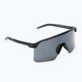 Окуляри сонцезахисні Nike Expedition Shield matte black/ grey