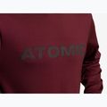 Кофта чоловіча Atomic Alps Sweater maroon 2