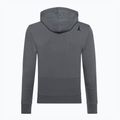 Кофта Atomic RS Hoodie grey 2