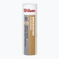 Волани для бадмінтону Wilson Smashstar 6 шт. white 2