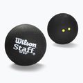 М'ячі для сквошу Wilson Staff Ball Double Yellow Dot 3 шт. black