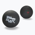 М'ячі для сквошу Wilson Staff Ball Red Dot 3 шт. black