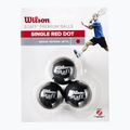 М'ячі для сквошу Wilson Staff Ball Red Dot 3 шт. black 2