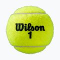 Тенісні м'ячі Wilson Roland Garros All Ct 3 шт. жовті WRT126400 2