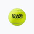 Тенісні м'ячі Wilson Roland Garros Clay Ct 4 шт. жовті WRT115000 4