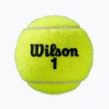 М'ячики для тенісу Wilson Roland Garros All CT 4 шт. yellow 5