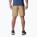 Шорти трекінгові чоловічі Columbia Washed Out crouton 2