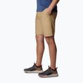 Шорти трекінгові чоловічі Columbia Washed Out crouton 3