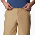Шорти трекінгові чоловічі Columbia Washed Out crouton 4