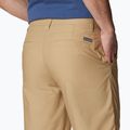 Шорти трекінгові чоловічі Columbia Washed Out crouton 5