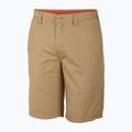 Шорти трекінгові чоловічі Columbia Washed Out crouton