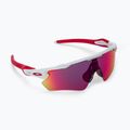 Окуляри велосипедні Oakley Radar EV Path біло-рожеві 0OO9208