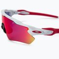 Окуляри велосипедні Oakley Radar EV Path біло-рожеві 0OO9208 3