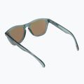 Окуляри сонячні Oakley Frogskins crystal black/prizm sapphire polarized 0OO9013 2