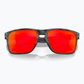 Окуляри сонцезахисні Oakley Holbrook XL matte black camo/prizm ruby 2