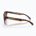 Окуляри сонцезахисні Oakley Frogskins Lite matte brown tortoise/prizm brown gradient 3