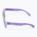 Окуляри сонцезахисні дитячі Oakley Frogskins XXS clear/prizm violet 4