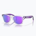 Окуляри сонцезахисні дитячі Oakley Frogskins XXS clear/prizm violet