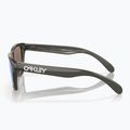 Окуляри сонцезахисні дитячі Oakley Frogskins XXS grey smoke/prizm sapphire 3