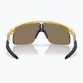 Дитячі сонцезахисні окуляри Oakley Resistor золото/призма 24k 3