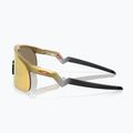 Дитячі сонцезахисні окуляри Oakley Resistor золото/призма 24k 6