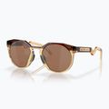 Сонцезахисні окуляри Oakley Hstn dark amber/light curry 6