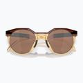 Сонцезахисні окуляри Oakley Hstn dark amber/light curry 10
