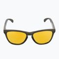 Окуляри сонцезахисні Oakley Frogskins Range dark brush/prizm 24k polarized 3
