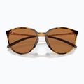 Окуляри сонцезахисні Oakley Sielo polished brown tortoise/prizm bronze polar 6