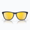 Окуляри сонцезахисні Oakley Frogskins Hybrid matte black/prizm 24k polar 2