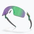 Дитячі сонцезахисні окуляри Oakley Resistor матовий білий/призмовий нефрит 4