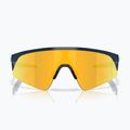 Дитячі сонцезахисні окуляри Oakley Resistor Sweep поліровані безодня / prizm 24k 2