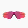Сонцезахисні окуляри Oakley Radar EV S Path поліровані білі/призмові поля 2