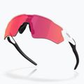 Сонцезахисні окуляри Oakley Radar EV S Path поліровані білі/призмові поля 4