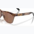 Окуляри сонцезахисні Oakley Frogskins Range XL brown tortoise/brown smoke 6