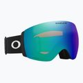 Окуляри гірськолижні Oakley Flight Deck Pro L matte black/prizm sage gold/prizm iced