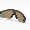 Дитячі сонцезахисні окуляри Oakley Resistor Sweep Dark Galaxy/Prizm Ruby 7