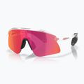 Окуляри сонцезахисні Oakley Stunt Devil S matte clear/prizm field