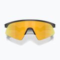 Окуляри сонцезахисні дитячі Oakley Resistor Sweep polished matte black/prizm 24k 8