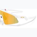 Дитячі сонцезахисні окуляри Oakley resistor sweep matte white/prizm 24k 6