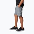 Шорти трекінгові чоловічі Columbia Washed Out grey ash 3