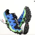 Кросівки для бігу чоловічі Salomon Spikecross 6 GTX black/surf the web/green gecko 17