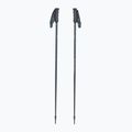 Палиці гірськолижні Fischer Lite asphalt grey