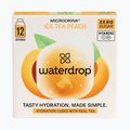 Крапельний напій для регідратації Microdrink Ice Tea 12 кубиків персик