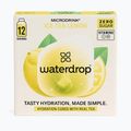 Напій для регідрації waterdrop Microdrink Ice Tea 12 кубиків лимон