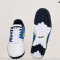 Бутси футбольні чоловічі Joma Cancha TF white/royal 10