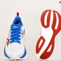 Чоловічі кросівки Saucony Ride 17 білий/кобальт 9