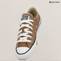 Кеди Converse Chuck Taylor All Star Classic Ox A06564C hot tea 9