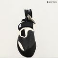 Черевики для скелелазіння Evolv Zenist грrey/black 6