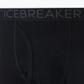 Термоштани чоловічі icebreaker 200 Oasis W/Fly black 9